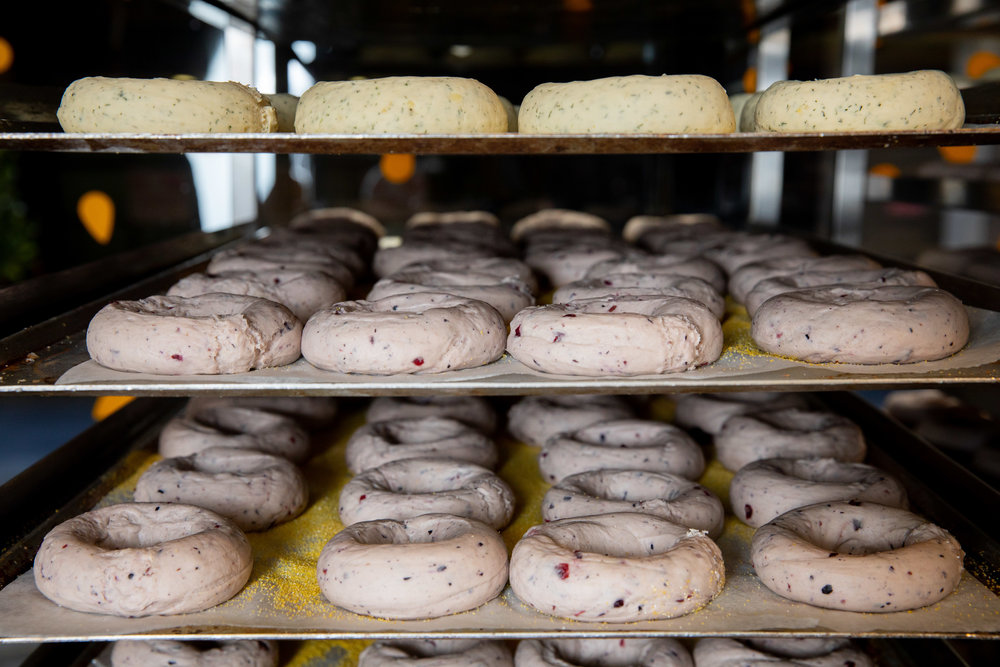 5&DimeBagel_KateShanasy_Oct2018-0089.jpg